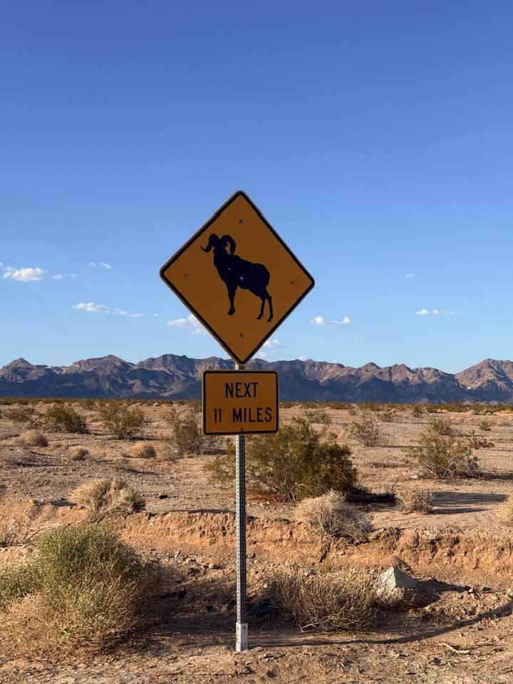 Why a Route 66 Road Trip will make your kid put away his phone